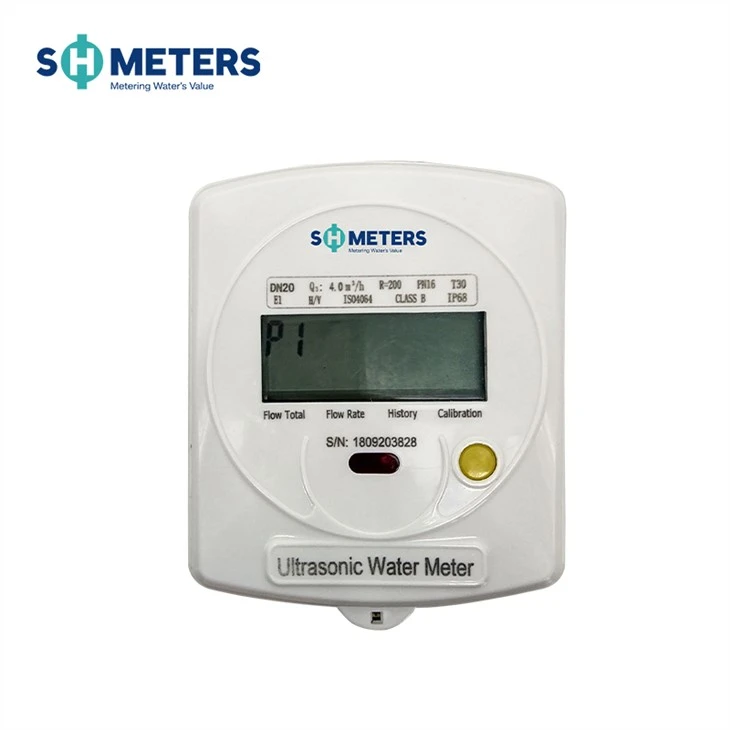 Ntse Wireless Leakage System Test Ultrasonic Dej Meter
